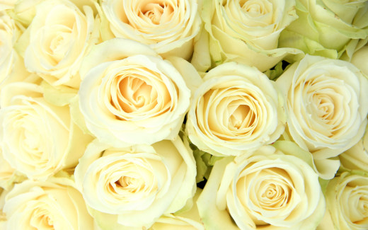 951711 (a): :2880x1800